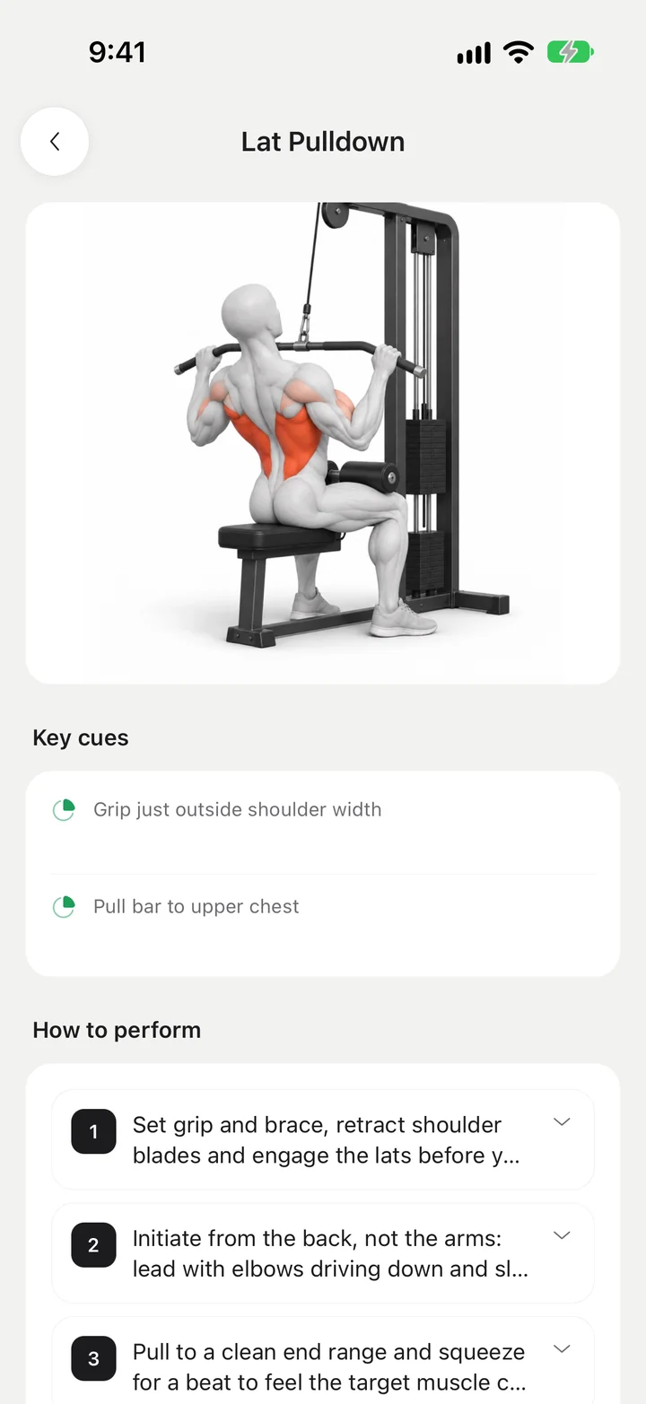 Lat Pulldown illustration with the working muscles highlighted, plus key cues